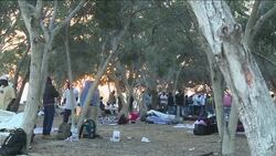 CLEAN : African immigrants in Israel protest near Egypt border News Clip
