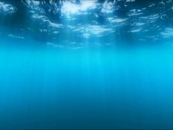 Loop Underwater Hd Stock Footage
