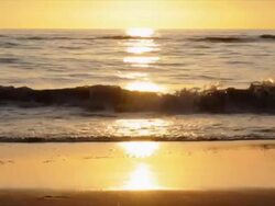 Sunset at North Sea beach, reflection in the sand Stock Footage