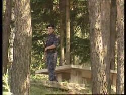 Bosnia - Bildt And Plavsic Meet For Talks News Clip