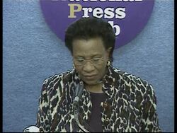 International observers appointed to monitor vote News Clip