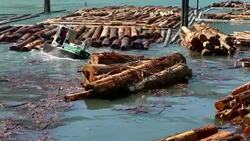 Logging Industry Squamish Stock Footage