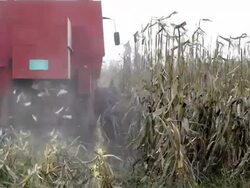 Combine harvester Stock Footage