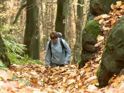 CU Hiker walking in autumn forest  / Kastel-Staadt, Rhineland-Palatinate, Germany Stock Footage