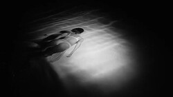 Swimming pool Stock Footage