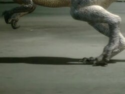 Medium tilt-up tracking-left zoom-in zoom-out - A dramatization shows a bipedal dinosaur hunting. / Dallas, Texas, USA Stock Footage