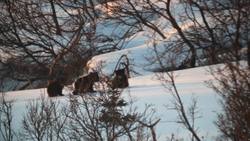 Clima Instructional Video