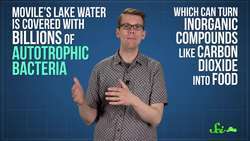 Weird Places: Movile Cave Instructional Video