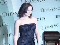 Tiffany & Co - Launch of the 2008 Blue Book Collection Stock Footage