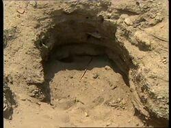PERU: LOOTING OF ARCHAEOLOGICAL SITES A SERIOUS PROBLEM News Clip