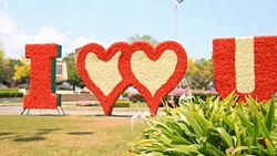 HD Dolly:Flowers banners saying i love you. Stock Footage