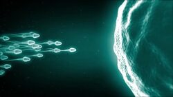 sperm Stock Footage