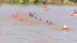 CLEAN : Netherlands ambassador to Sudan swims in Nile News Clip