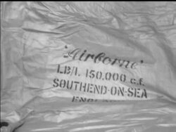 FLYING TIMBER News Clip