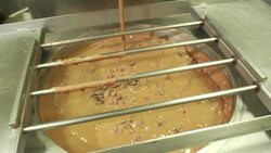 Chocolate Easter Bunny production at Confiserie Felicitas in Italy Stock Footage