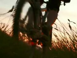 HD: Cycling In The Meadow At Dusk Stock Footage