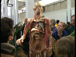 GERMANY: DISSECTED HUMAN BODIES EXHIBITION COMES UNDER FIRE News Clip