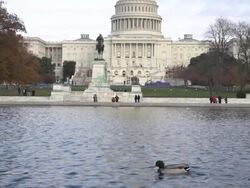 The United States Capital Building in Washington DC Stock Footage