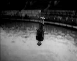 DIVING MANIACS News Clip