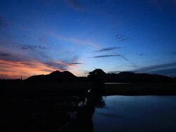 View from window train Stock Footage