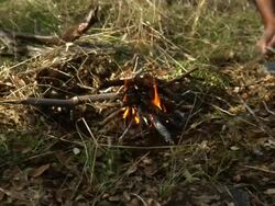 Starting a fire Stock Footage