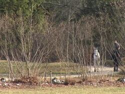 HD: Horseriding In Nature Stock Footage