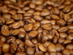 Coffe beans - loopable Stock Footage
