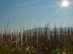 HD Motion Time-Lapse: Lake Against Clear Sky Stock Footage