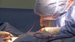 New regulations proposed for UK cosmetic industry News Clip