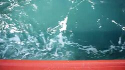 Water surface Stock Footage