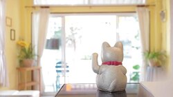 lucky charm cat Stock Footage