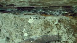 Peter Ward: A theory of Earth's mass extinctions Instructional Video