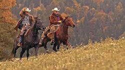 SLO MO DS Two cowboys riding horses in gallop Stock Footage