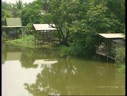 RR9433/B - VARIOUS: AIDS IN ASIA News Clip