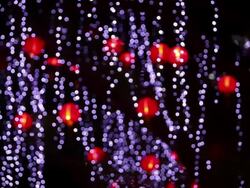 WS Chinese lanterns in and out of focus Stock Footage