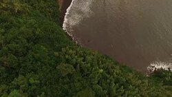 Tropical Coast of Maui By Drone Stock Footage