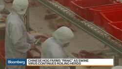 China’s Hog Industry Hit Hard by African Swine Flu News Clip