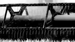 Harvesting of grain harvesters Stock Footage