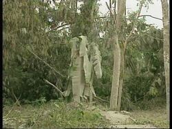 INDONESIA: JAVA: MOUNT MERAPI VOLCANO ERUPTS News Clip