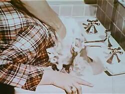 Keeping clean at home Stock Footage