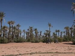 Good Looking Young Couple ride Quad Bikes in desert Stock Footage