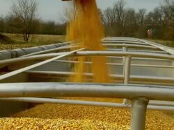 CU ZO Shot of spout filling truck with corn and corn flying around / Chelsea, Michigan Stock Footage