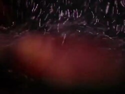 Floating fish. abstraction Stock Footage