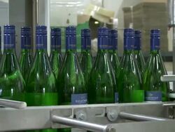 MS Champagne bottles on production line / Ayl, Rhineland-Palatinate, Germany Stock Footage