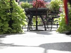 MS Young man dancing on street / Minneapolis, Minnesota, United States Stock Footage