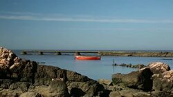 fish boat at the wharf Stock Footage
