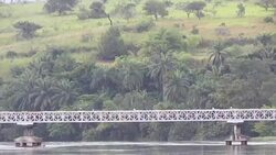 CLEAN : Demise of DRC Unilever plantation leaves residents in poverty News Clip