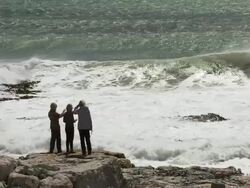WS SLO MO Family watching wave crashing on rock / Elephant Beach, Falkland Islands, Falkland Islands Stock Footage