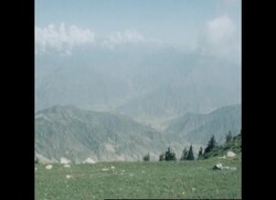 RR8030A AFGHANISTAN REPORT News Clip