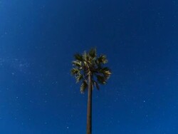 Time Lapse Okavango Delta Botswana Africa Stock Footage